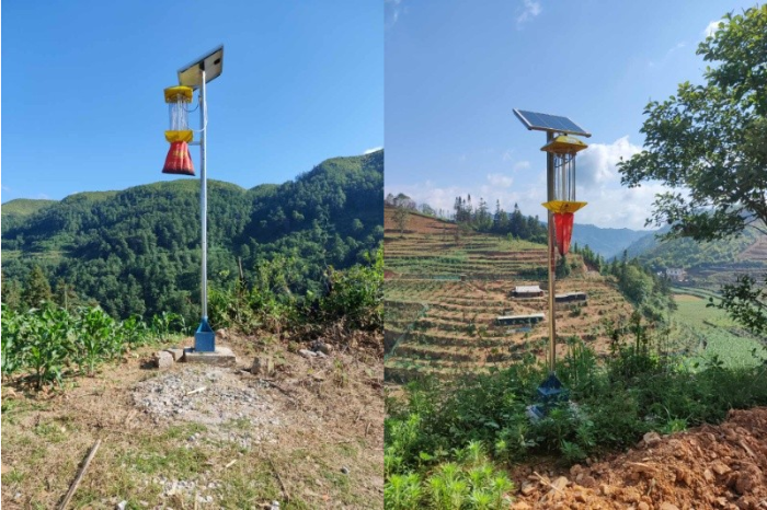 av片网_欧美一区二_成人中文视频_在线成人免费观看_免费色网址_久久精品99售后人员对麻栗坡县1000台杀虫灯进行春季巡检