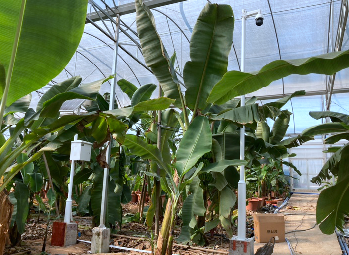 广东省某研究所引进av片网_欧美一区二_成人中文视频_在线成人免费观看_免费色网址_久久精品99气象站和监控设备