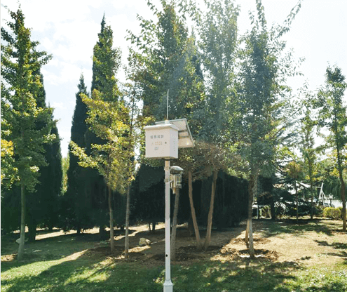  av片网_欧美一区二_成人中文视频_在线成人免费观看_免费色网址_久久精品99虫情监测系统为招远市林业可持续发展提供助力