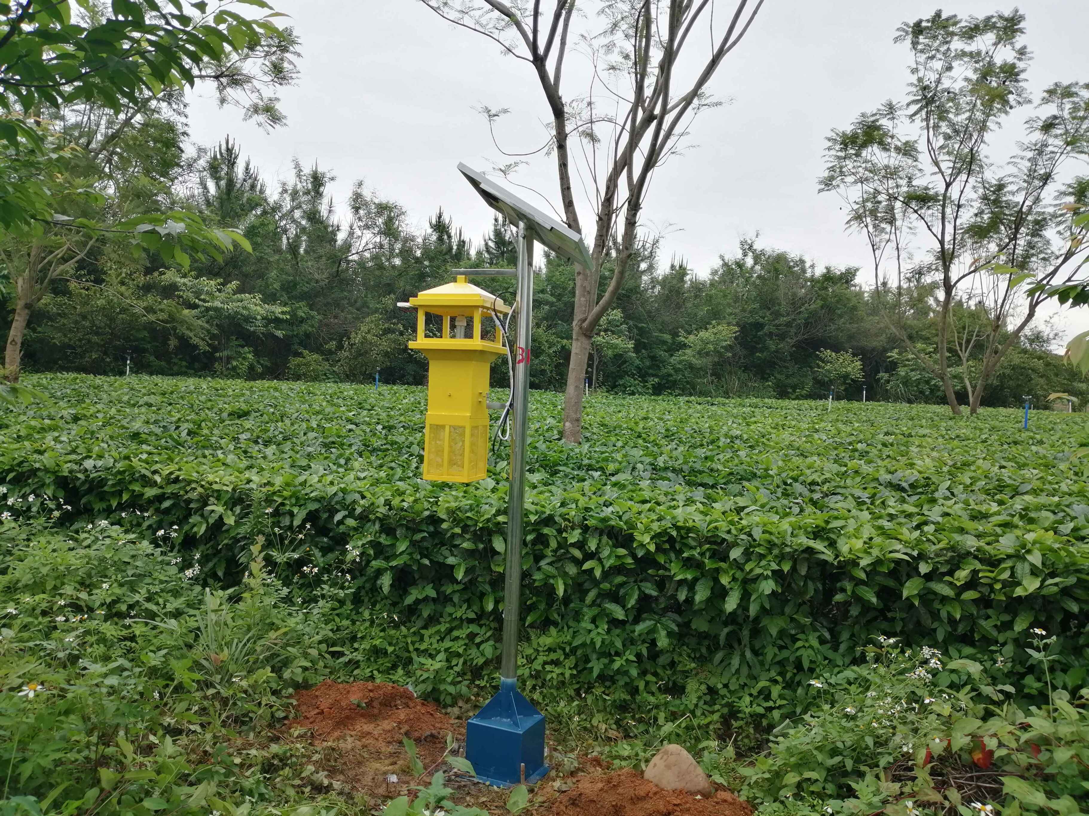 av片网_欧美一区二_成人中文视频_在线成人免费观看_免费色网址_久久精品99售后团队全国巡检活动圆满结束