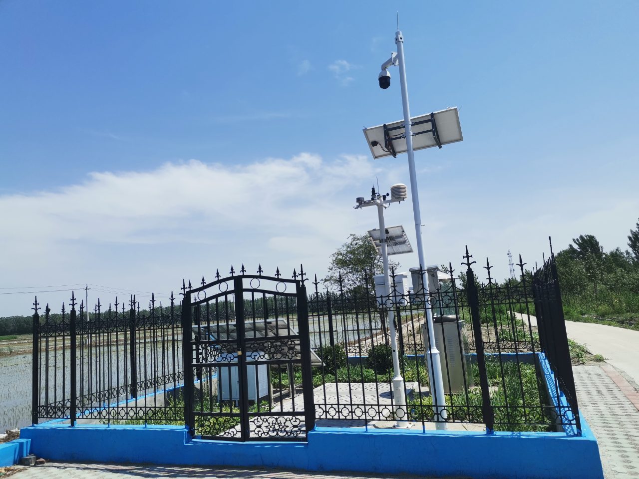 天津引进av片网_欧美一区二_成人中文视频_在线成人免费观看_免费色网址_久久精品99病虫害监测设备