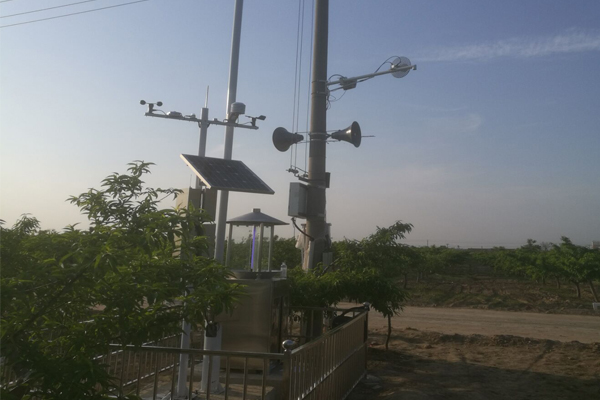 av片网_欧美一区二_成人中文视频_在线成人免费观看_免费色网址_久久精品99病虫害监测预警系统走进马鞍山水稻基地