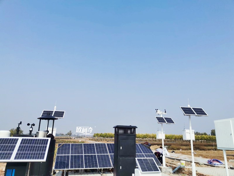 av片网_欧美一区二_成人中文视频_在线成人免费观看_免费色网址_久久精品99助力山西高标准农田建设