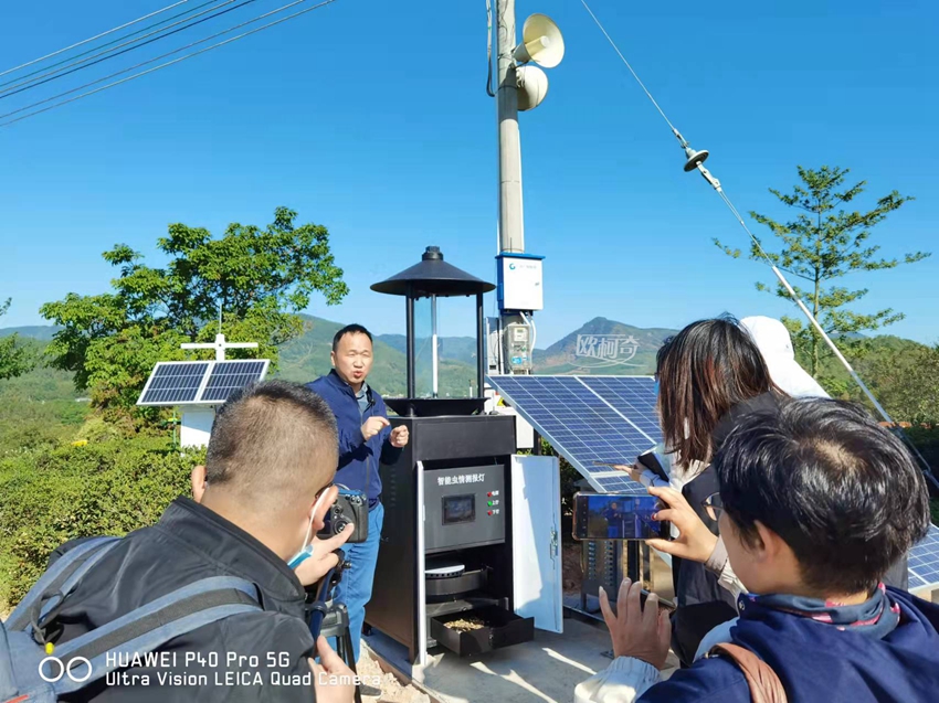 av片网_欧美一区二_成人中文视频_在线成人免费观看_免费色网址_久久精品99数字科技赋能有机茶产业