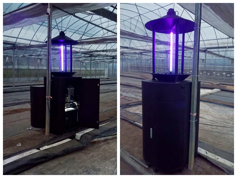 烟叶育苗正当时：av片网_欧美一区二_成人中文视频_在线成人免费观看_免费色网址_久久精品99虫情测报灯走进烟叶大棚