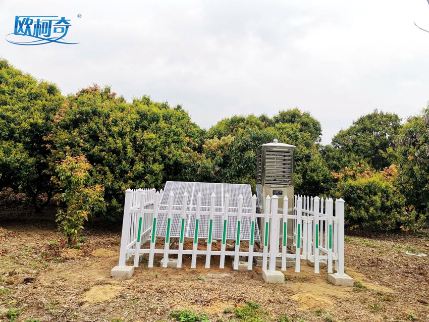  建标准基地，育富民产业：av片网_欧美一区二_成人中文视频_在线成人免费观看_免费色网址_久久精品99虫情测报灯走进广东荔枝生产基地