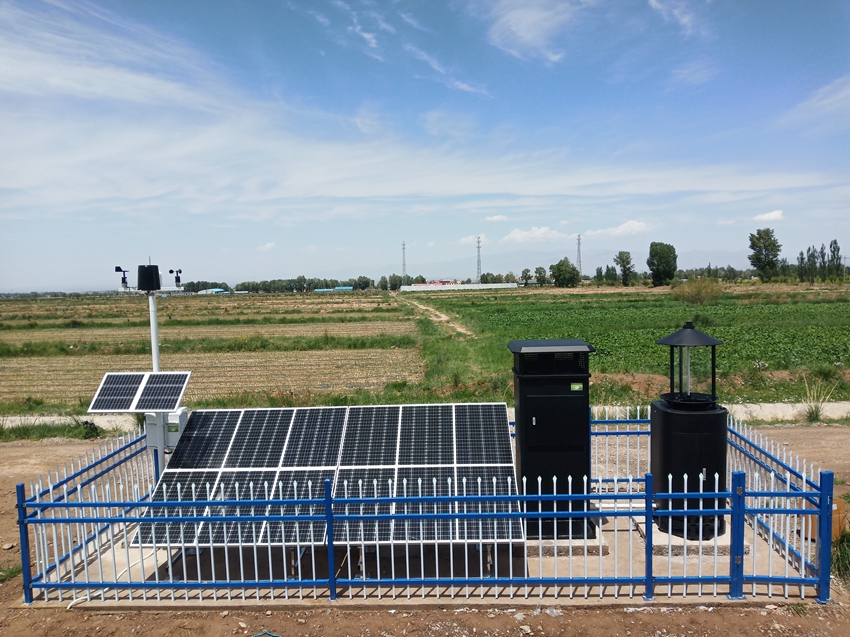 av片网_欧美一区二_成人中文视频_在线成人免费观看_免费色网址_久久精品99走进张掖智慧农业提升项目助力乡村振兴