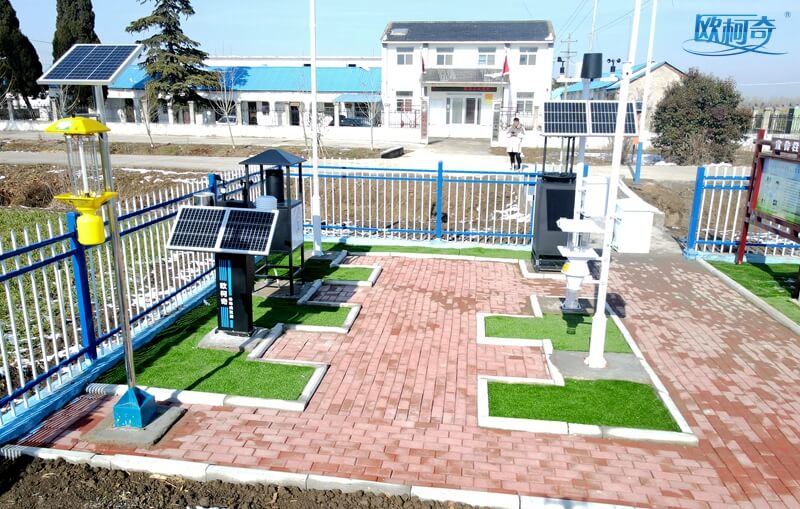 安徽蚌埠引进av片网_欧美一区二_成人中文视频_在线成人免费观看_免费色网址_久久精品99智能设备建立病虫害智能预警监测站