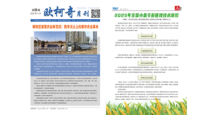 2025年第十一期《av片网_欧美一区二_成人中文视频_在线成人免费观看_免费色网址_久久精品99月刊》发行