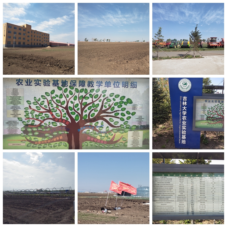 1623199979132982.jpg 基地最终拼图.jpg