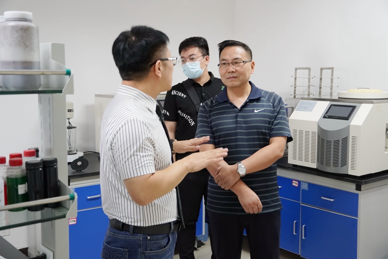 1629184916859223.jpg 4.jpg