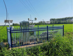 av片网_欧美一区二_成人中文视频_在线成人免费观看_免费色网址_久久精品99土壤墒情监测仪助力内蒙古扎赉特旗