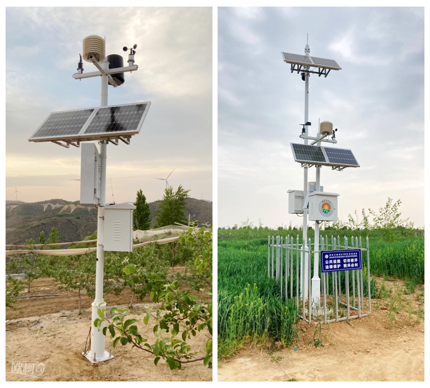 1651047208329352.jpg 22.jpg