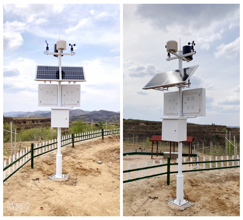 1651047235254771.jpg 11.jpg