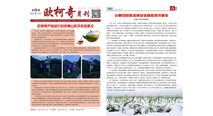 2022年第十一期《av片网_欧美一区二_成人中文视频_在线成人免费观看_免费色网址_久久精品99月刊》发行