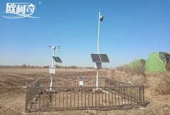 沈阳引进av片网_欧美一区二_成人中文视频_在线成人免费观看_免费色网址_久久精品99智慧监测设备指导农业生产