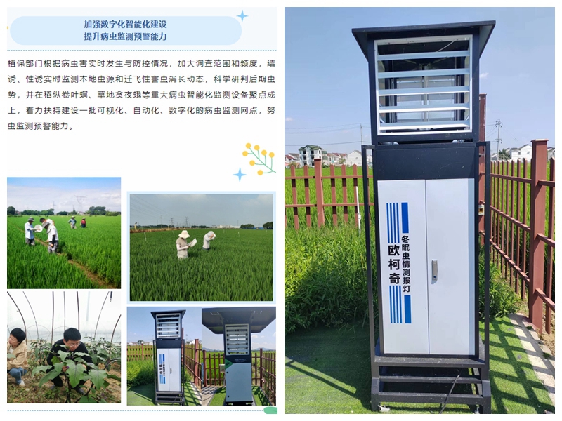 “虫口夺粮”保丰收，av片网_欧美一区二_成人中文视频_在线成人免费观看_免费色网址_久久精品99设备助力无锡植保工作