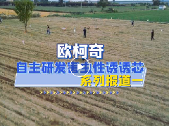 av片网_欧美一区二_成人中文视频_在线成人免费观看_免费色网址_久久精品99自主研发害虫性诱诱芯|系列报道一