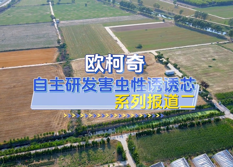 av片网_欧美一区二_成人中文视频_在线成人免费观看_免费色网址_久久精品99自主研发害虫性诱诱芯|系列报道二