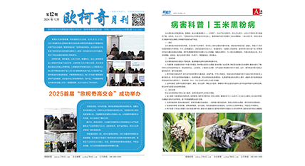 2024年第十二期《av片网_欧美一区二_成人中文视频_在线成人免费观看_免费色网址_久久精品99月刊》发行